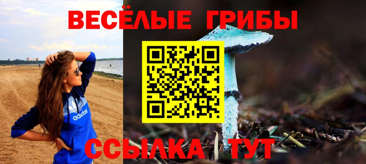 Ковров  Галлюциногенные грибы GOLDEN TEACHER  Псилоцибиновые грибы Psilocybine cubensis  Вход с VPN 
